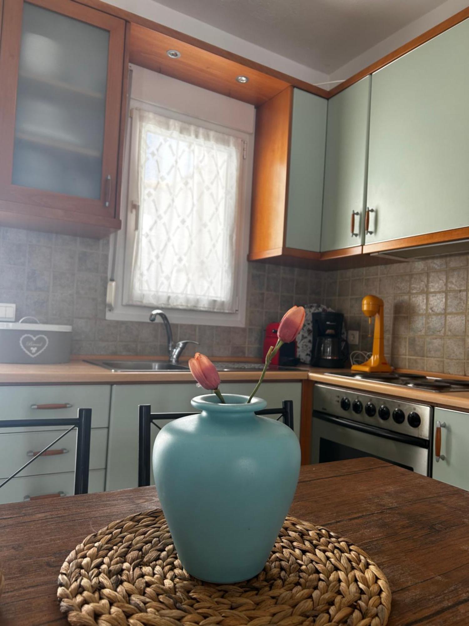 Perfect Hospitality - Elenas House, Nikiti Villa Екстериор снимка